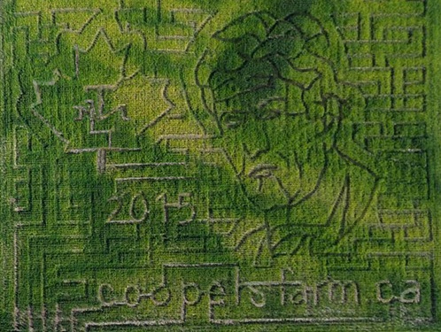 2015 Cooper's Farm Corn Maze