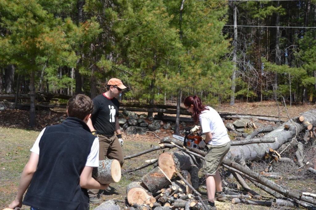 Clearing Brush At Camp Lutherlyn