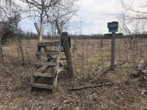 2019 Hiking in May Bruce Trail in and around Mono Cliff Provincial Park