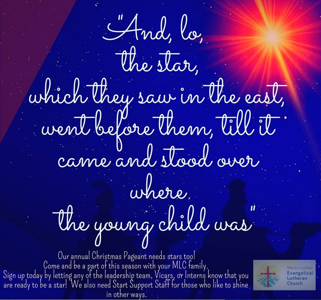 Our Annual Christmas Pageant Needs Stars Too!