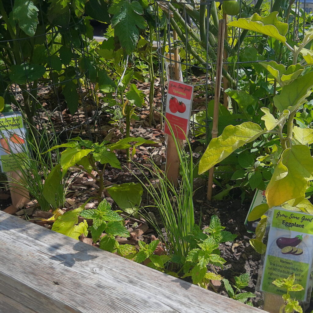 Raised Beds Signs