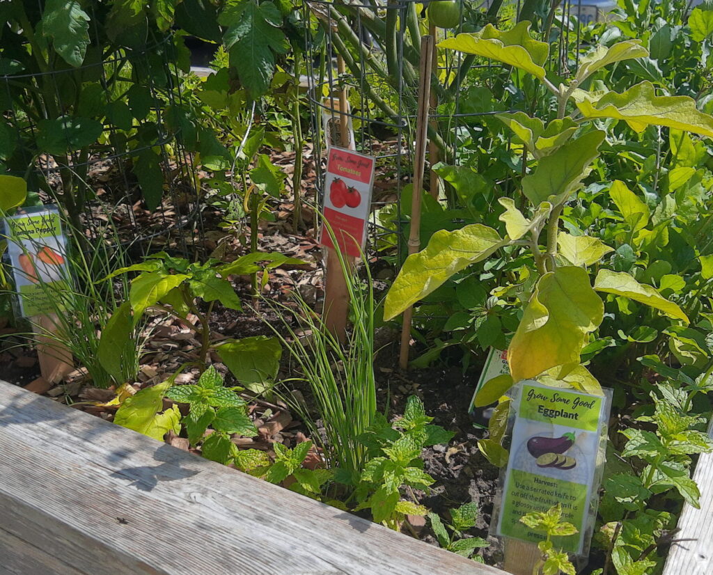 Raised Beds Signs